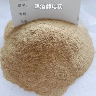 啤酒酵母粉