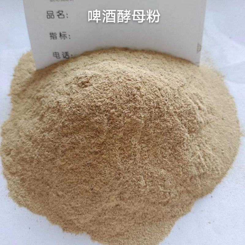 啤酒酵母粉