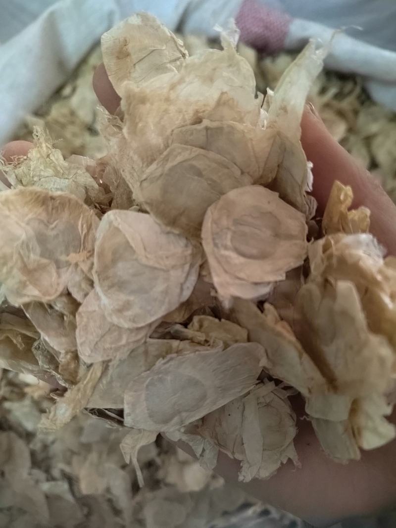 木蝴蝶，云故纸，千张纸，蝴蝶花茶，一手货源，质量保证