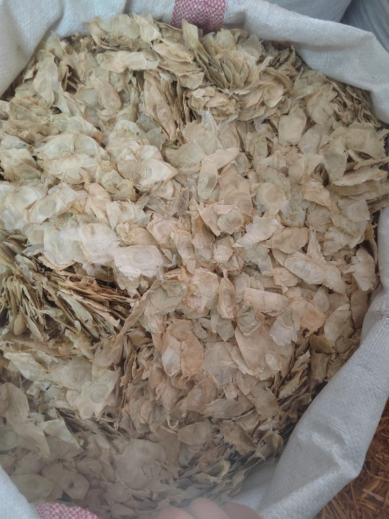 木蝴蝶，云故纸，千张纸，蝴蝶花茶，一手货源，质量保证