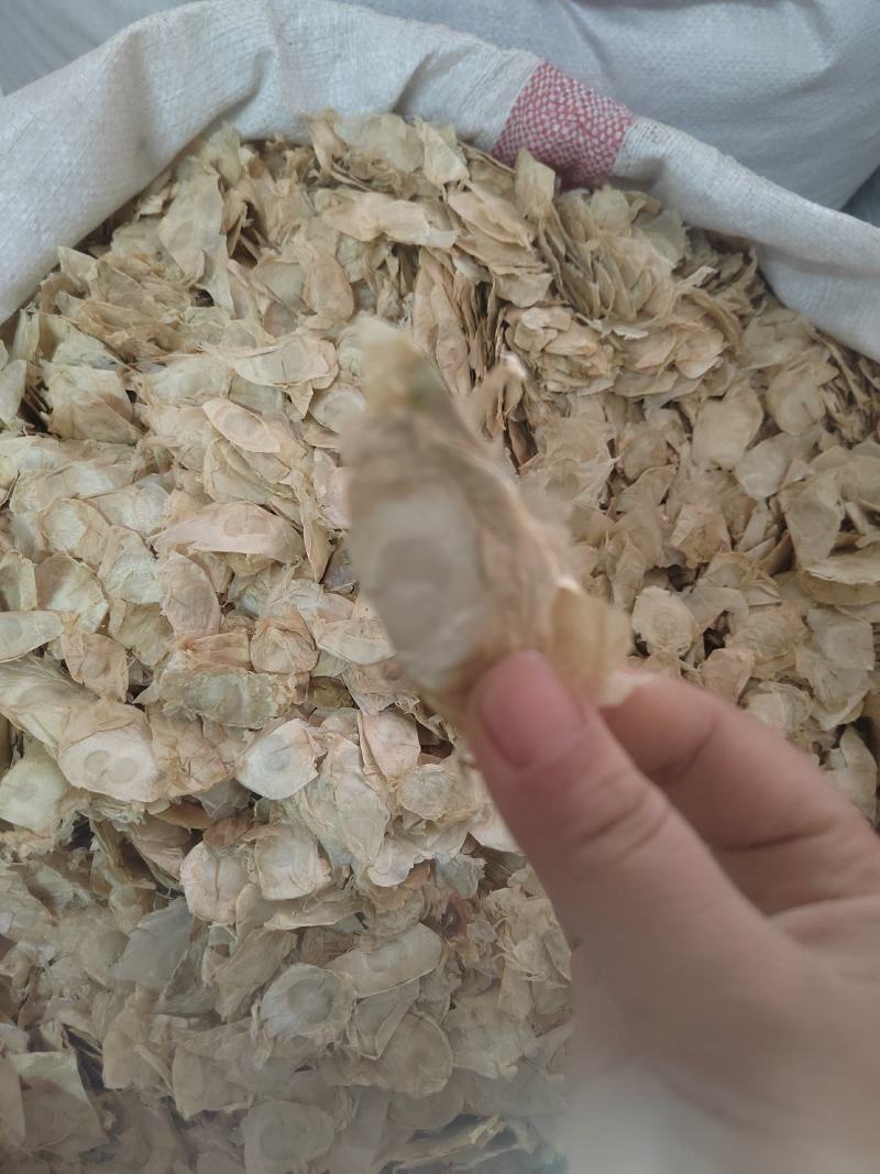 木蝴蝶，云故纸，千张纸，蝴蝶花茶，一手货源，质量保证