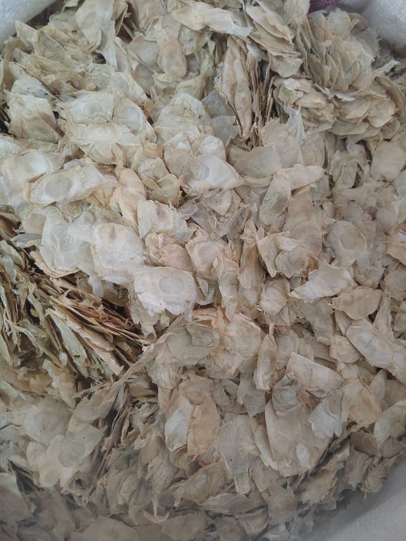 木蝴蝶，云故纸，千张纸，蝴蝶花茶，一手货源，质量保证