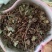 小叶金钱草，铜钱包，黄胆草，干净无杂质，当年新货