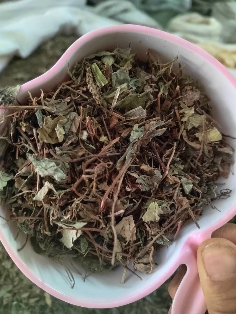 小叶金钱草，铜钱包，黄胆草，干净无杂质，当年新货