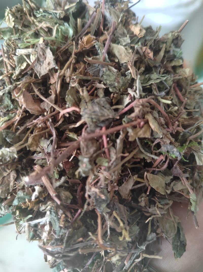 小叶金钱草，铜钱包，黄胆草，干净无杂质，当年新货