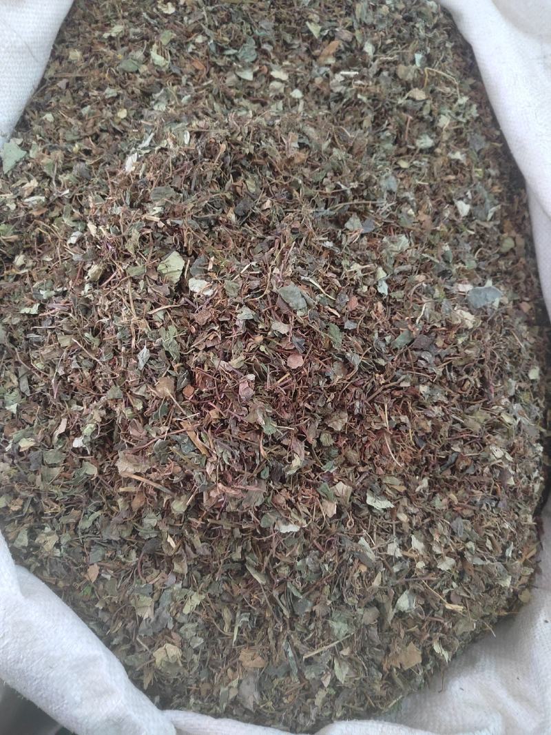 小叶金钱草，铜钱包，黄胆草，干净无杂质，当年新货