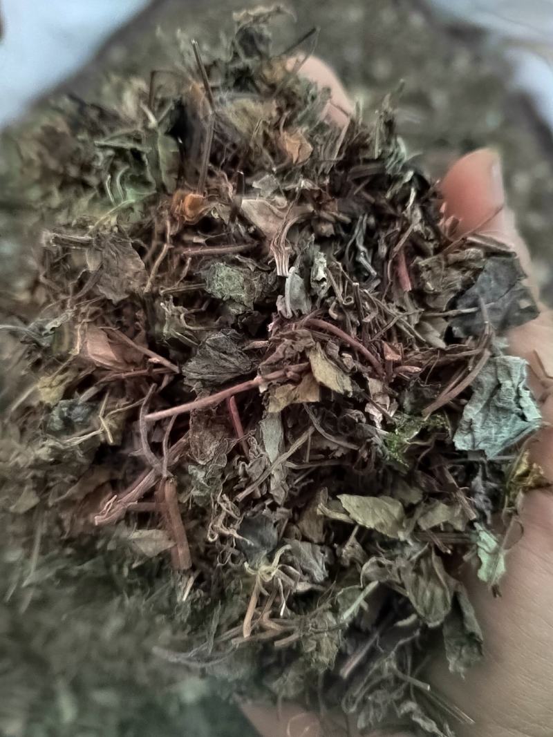 小叶金钱草，铜钱包，黄胆草，干净无杂质，当年新货