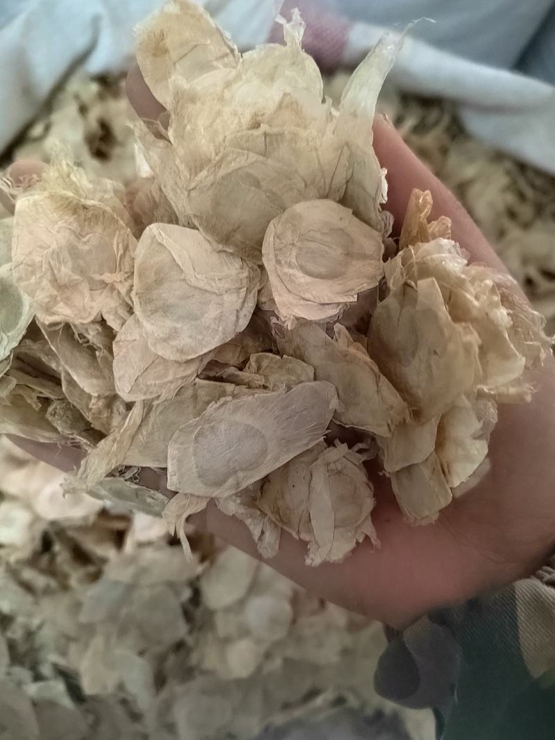 小叶金钱草，铜钱包，黄胆草，干净无杂质，当年新货