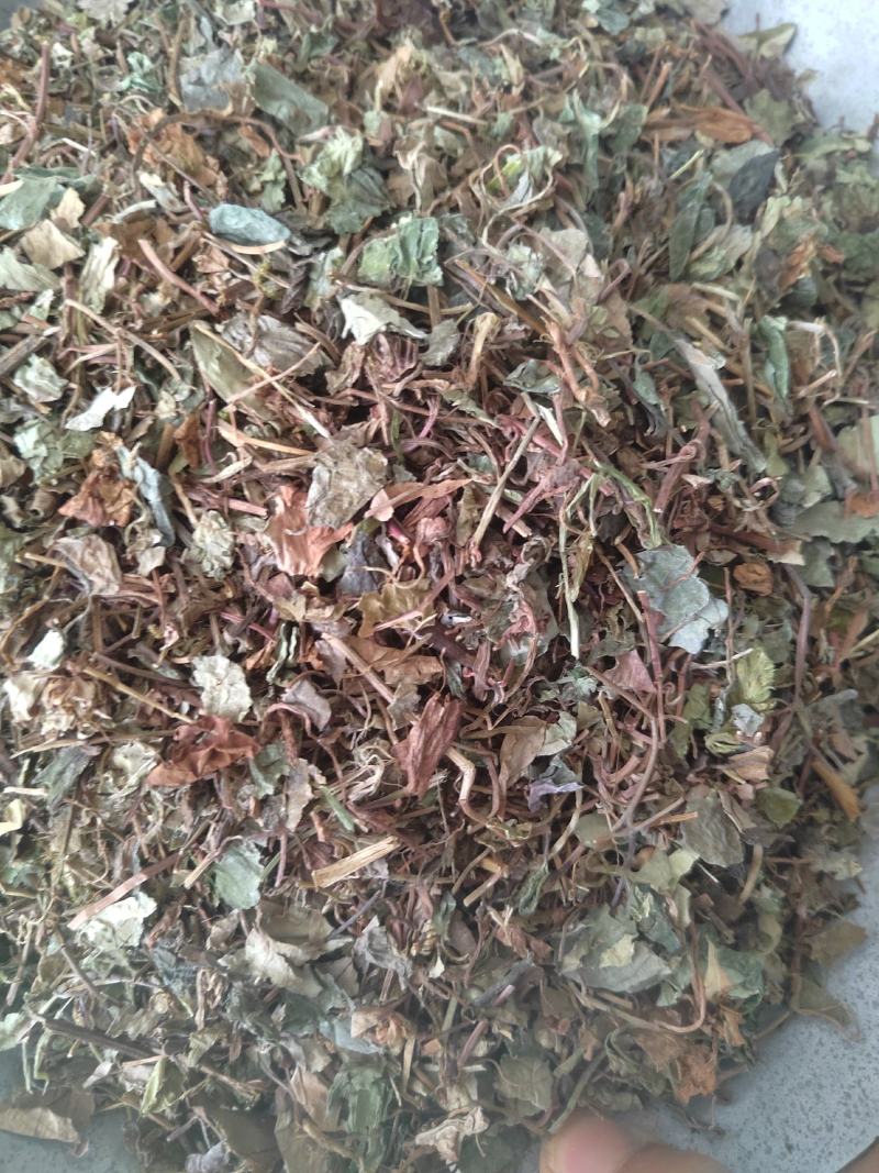 小叶金钱草，铜钱包，黄胆草，干净无杂质，当年新货