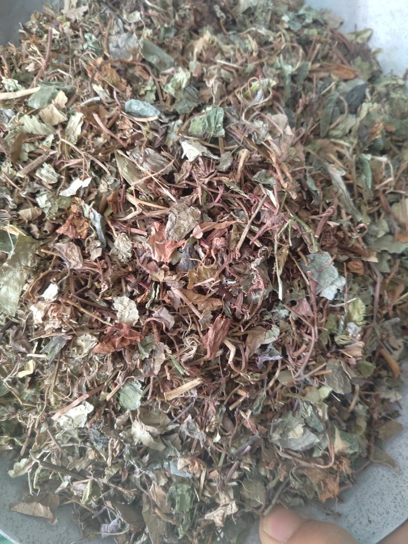 小叶金钱草，铜钱包，黄胆草，干净无杂质，当年新货