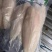 巴沙鱼柳，新货新日期，肉质细嫩，出成率高，诚招代理