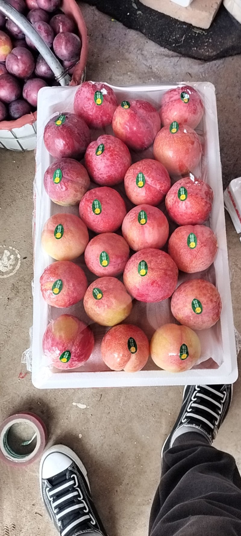 黑布林红布林