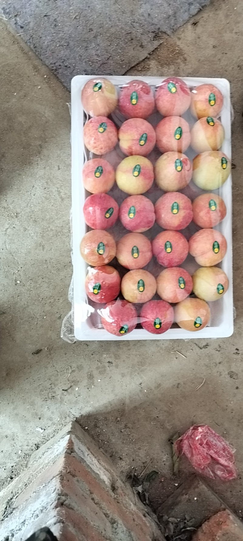 黑布林红布林