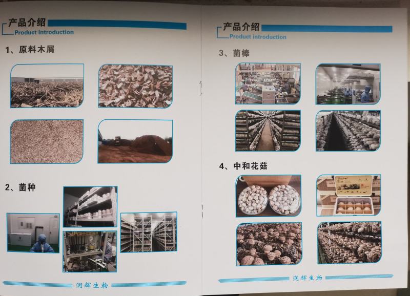 香菇菌棒出口韩国、日本、欧洲等，手续资质全，欢迎来电详询