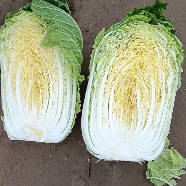 瓜菜市场供应