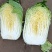 瓜菜市场供应