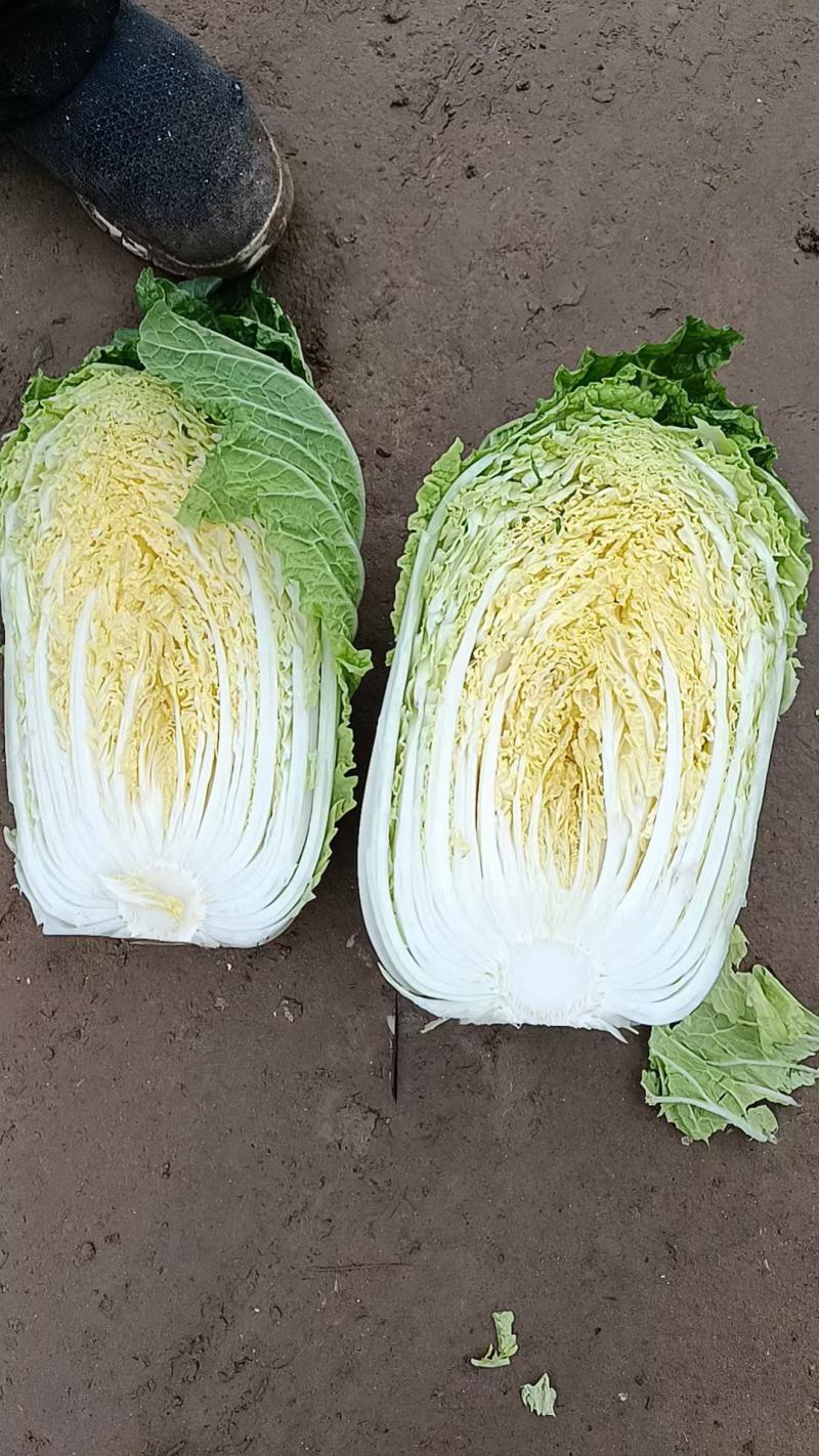 瓜菜市场供应