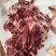 碎肉，纯干牛肉食材，精修优质牛胸骨选下肉质，油少瘦肉多