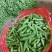 长寿仁豌豆荚中豌9号豌豆荚甜豌豆荚嫩豌豆角中青老豌豆米