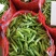 长寿仁豌豆荚中豌9号豌豆荚甜豌豆荚嫩豌豆角中青老豌豆米