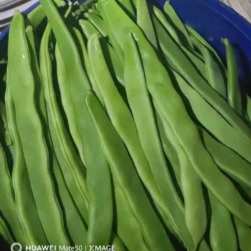 山东聊城市扁芸豆，，颜色好，货多，支持各种包装代发全国各