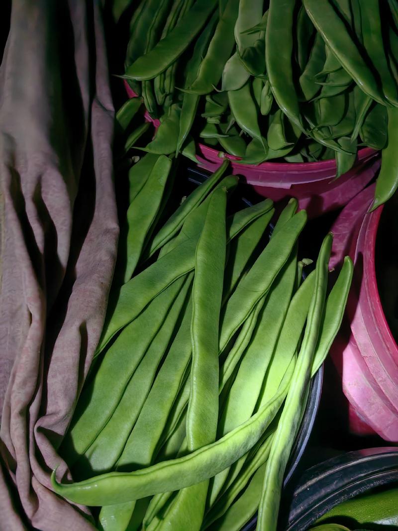 山东聊城市扁芸豆，，颜色好，货多，支持各种包装代发全国各