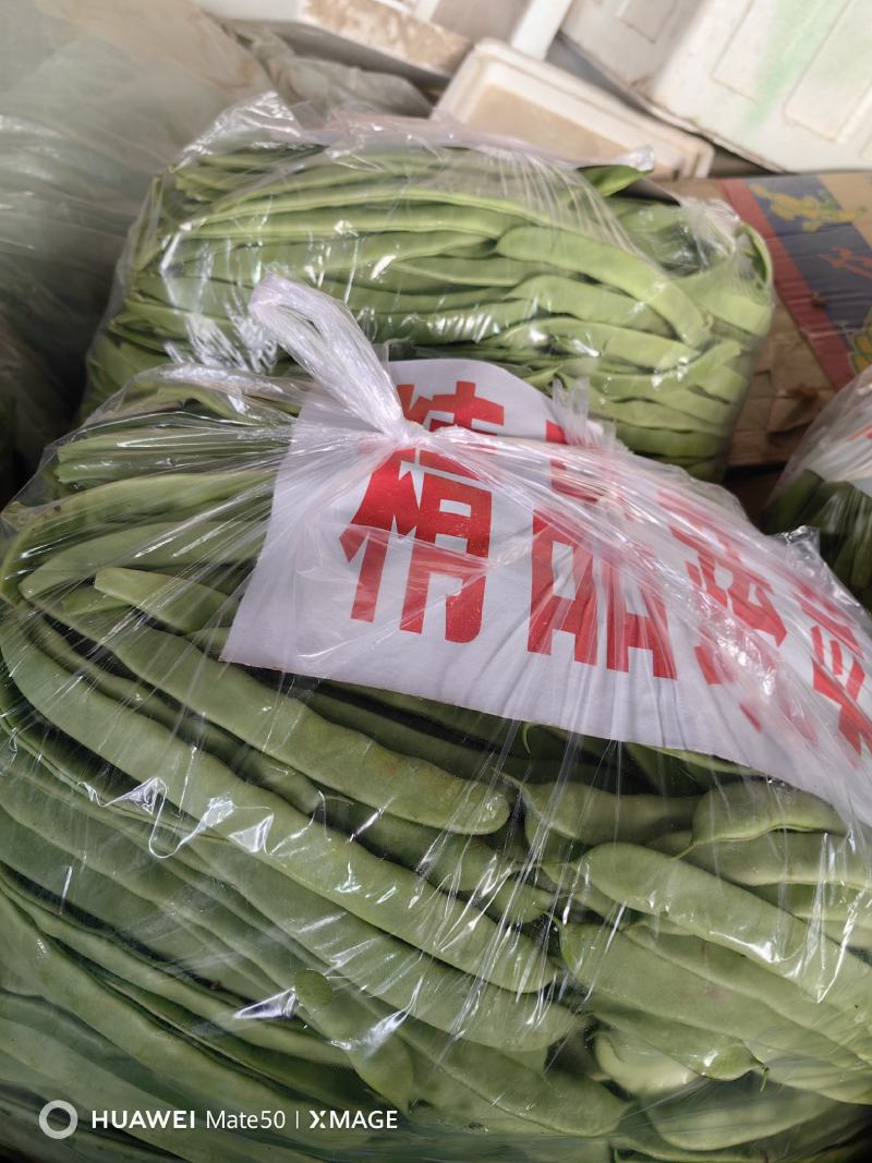 山东聊城市扁芸豆，，颜色好，货多，支持各种包装代发全国各