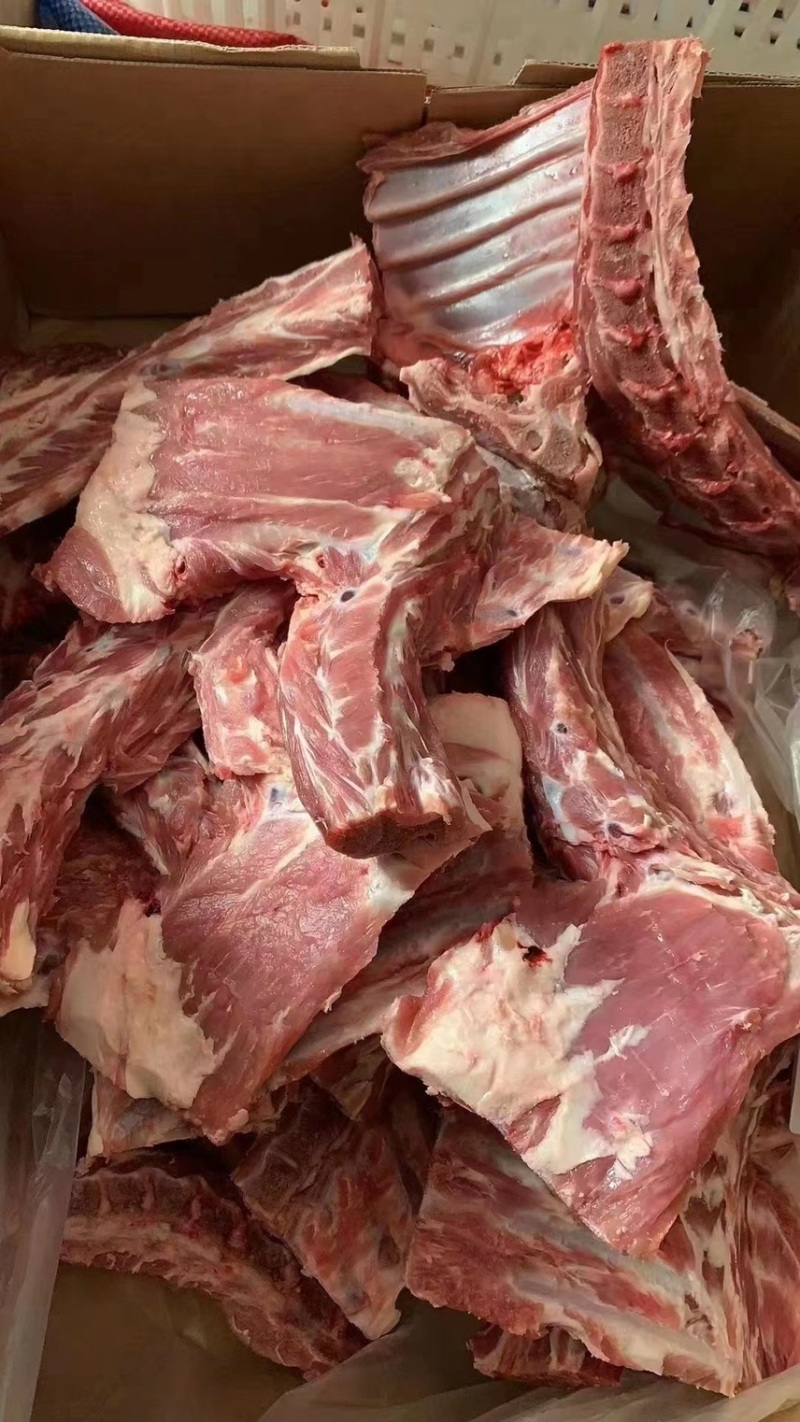 羊羔排大羊方肩骨排大肉多一手货源基地直发可视频看货