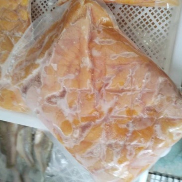 鲈鱼仔