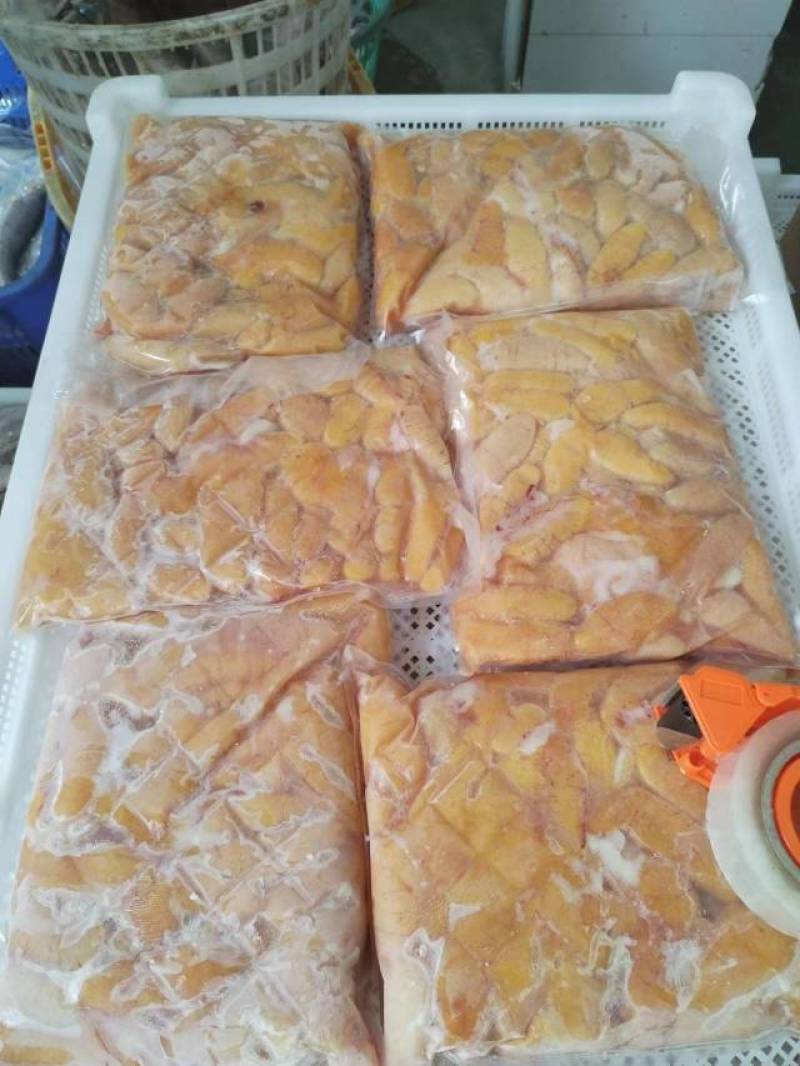 鲈鱼仔