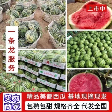 西瓜/美都西瓜/陕西美都西瓜/对接各大商超社区团购