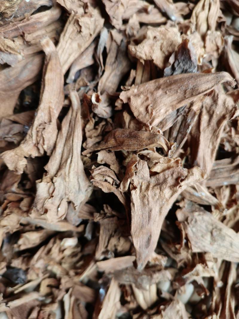 干桐树花泡桐树花药食谦用泡脚泡茶保健可做包子馅饼美味可口