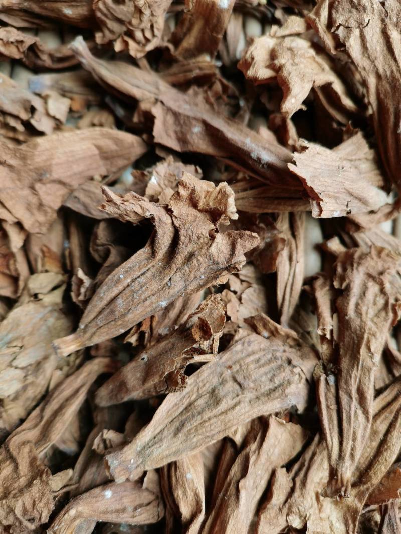 干桐树花泡桐树花药食谦用泡脚泡茶保健可做包子馅饼美味可口