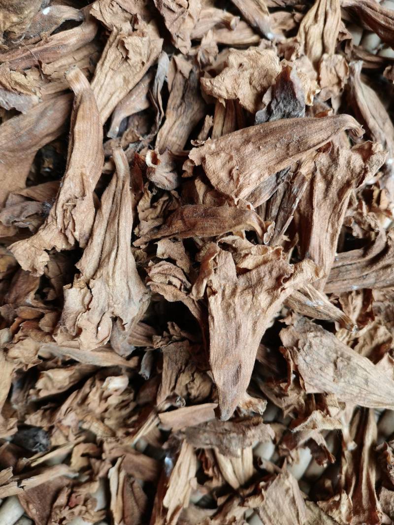 干桐树花泡桐树花药食谦用泡脚泡茶保健可做包子馅饼美味可口