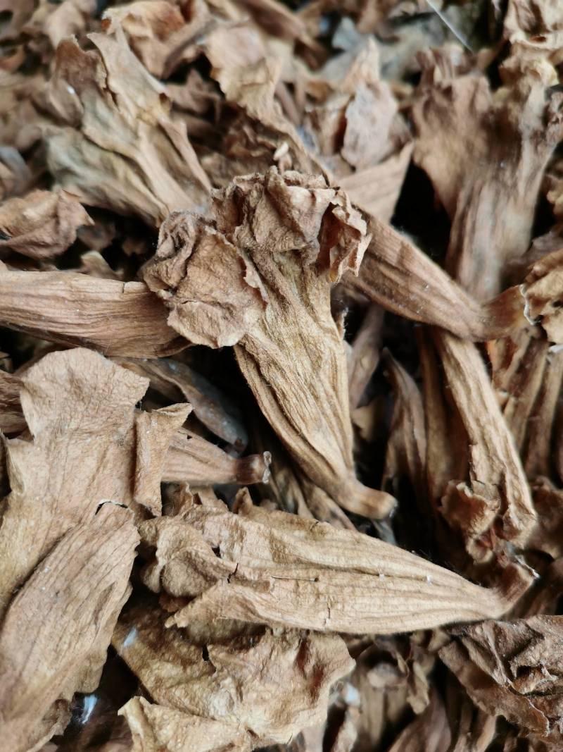 干桐树花泡桐树花药食谦用泡脚泡茶保健可做包子馅饼美味可口