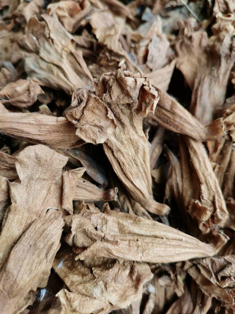 干桐树花泡桐树花药食谦用泡脚泡茶保健可做包子馅饼美味可口