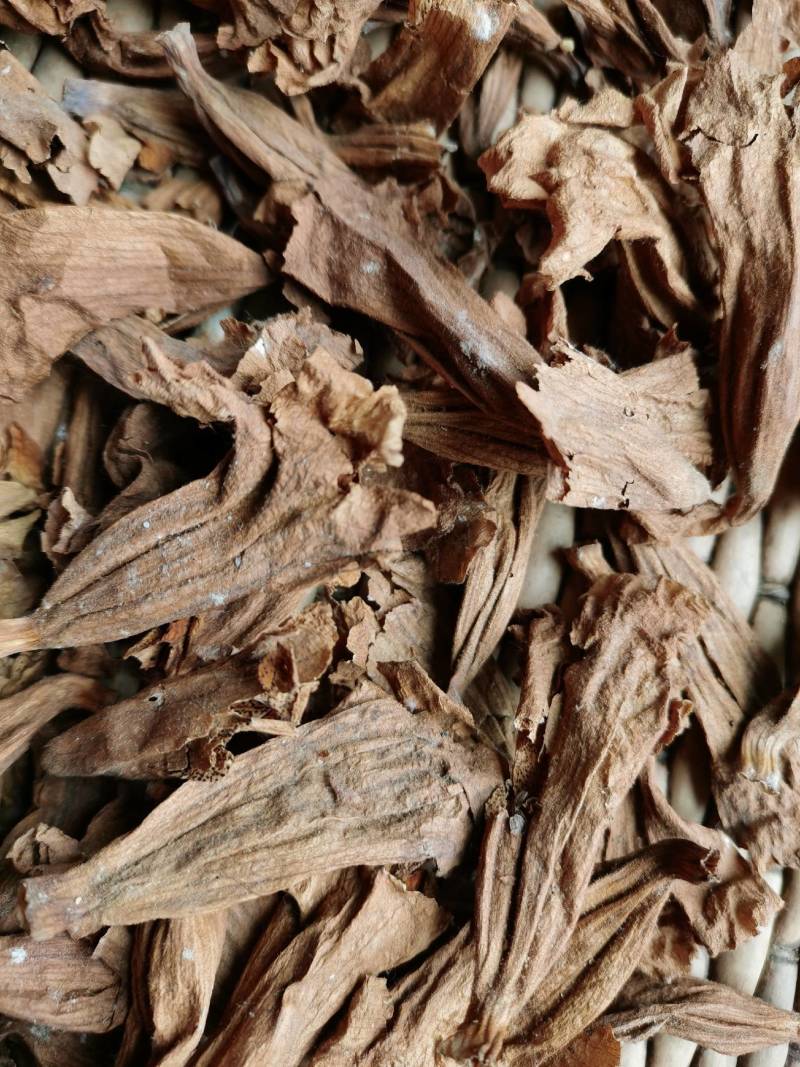 干桐树花泡桐树花药食谦用泡脚泡茶保健可做包子馅饼美味可口
