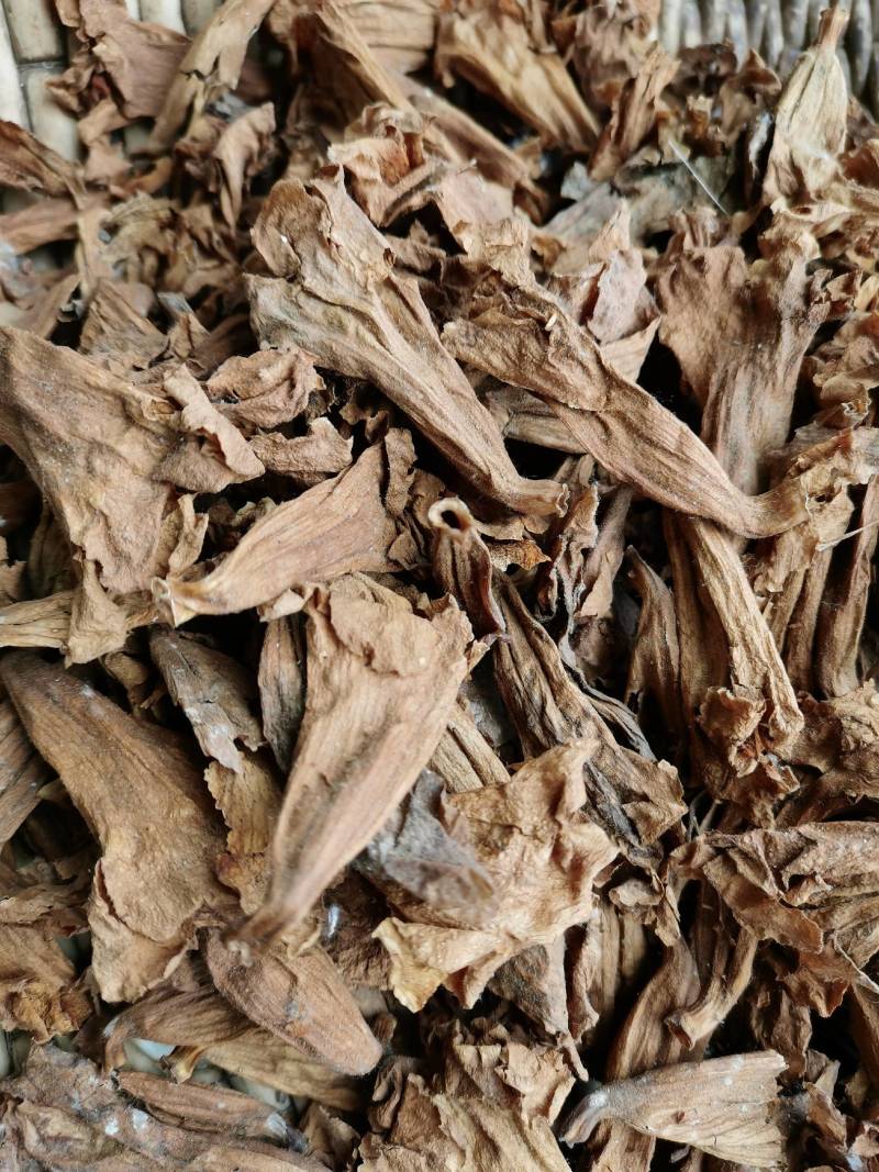 干桐树花泡桐树花药食谦用泡脚泡茶保健可做包子馅饼美味可口