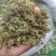 伸筋草，毛狮子，野生伸筋草，中药材批发丹丹中药