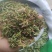 伸筋草，毛狮子，野生伸筋草，中药材批发丹丹中药
