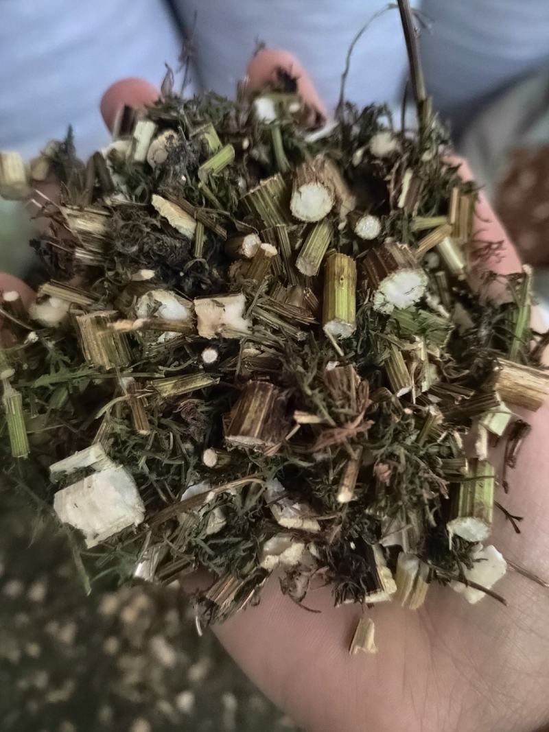 伸筋草，毛狮子，野生伸筋草，中药材批发丹丹中药