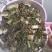 青蒿，中药材青蒿，青蒿段，一手货源，质量保证，丹丹中药