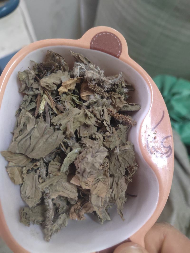 车前草，野生车前草段，中药材批发丹丹中药专注质量