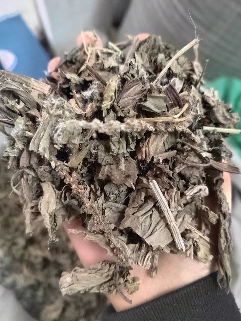 车前草，野生车前草段，中药材批发丹丹中药专注质量