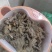 车前草，野生车前草段，中药材批发丹丹中药专注质量