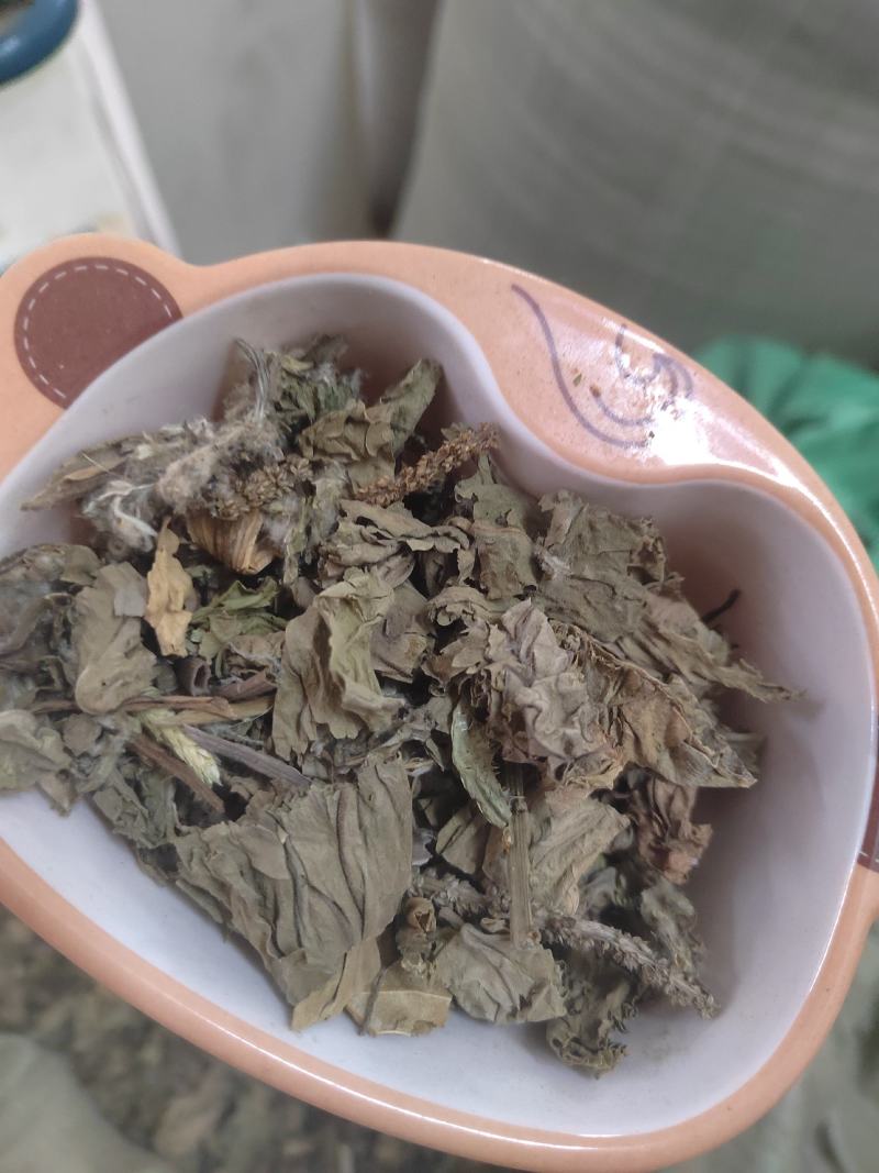 车前草，野生车前草段，中药材批发丹丹中药专注质量