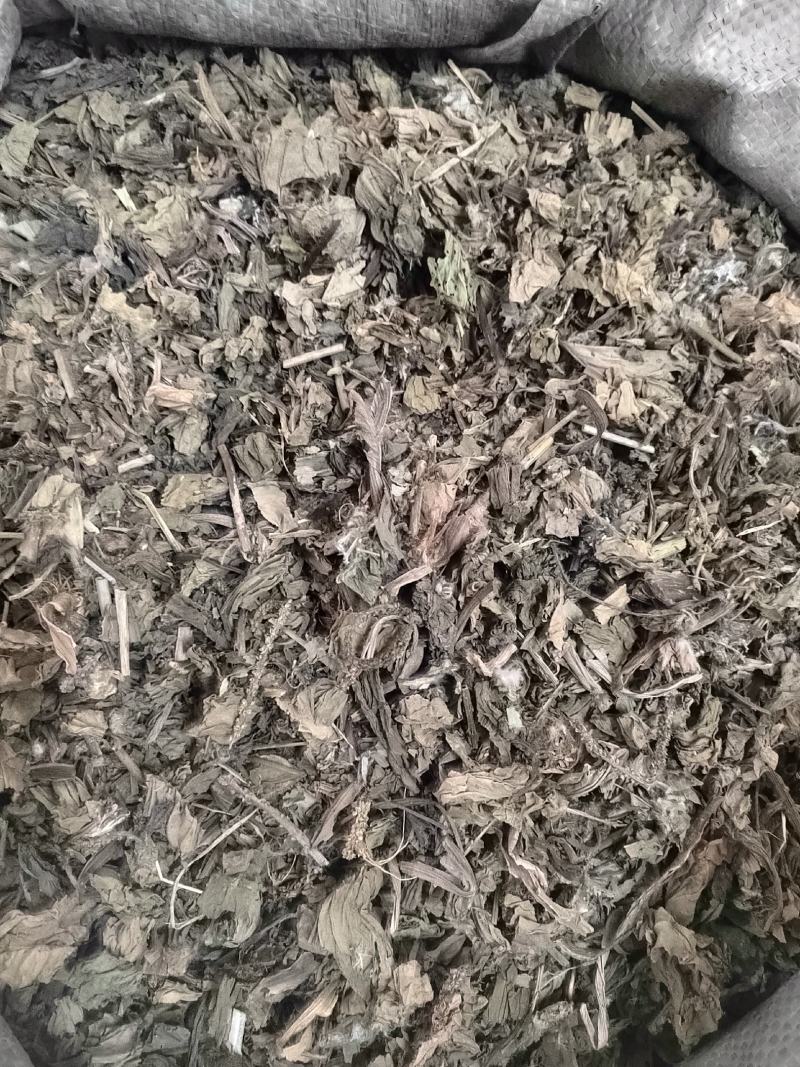 车前草，野生车前草段，中药材批发丹丹中药专注质量