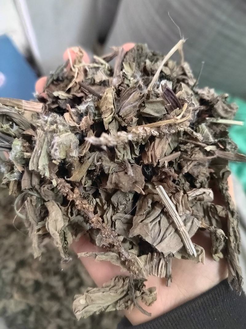 车前草，野生车前草段，中药材批发丹丹中药专注质量