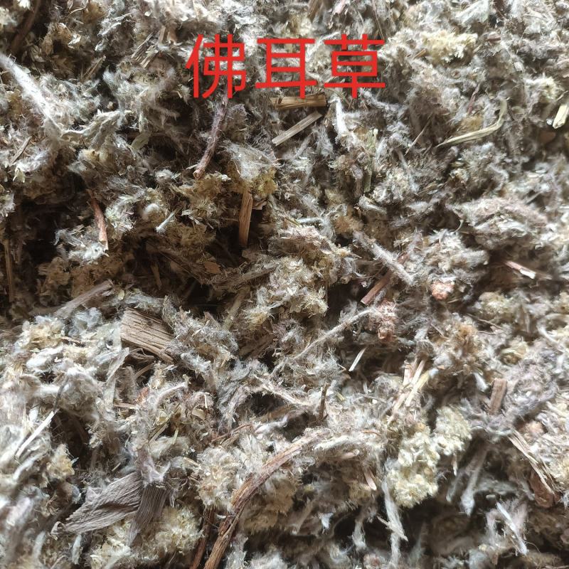 冷背药材佛耳草批发佛耳草新货佛耳草一公斤包邮