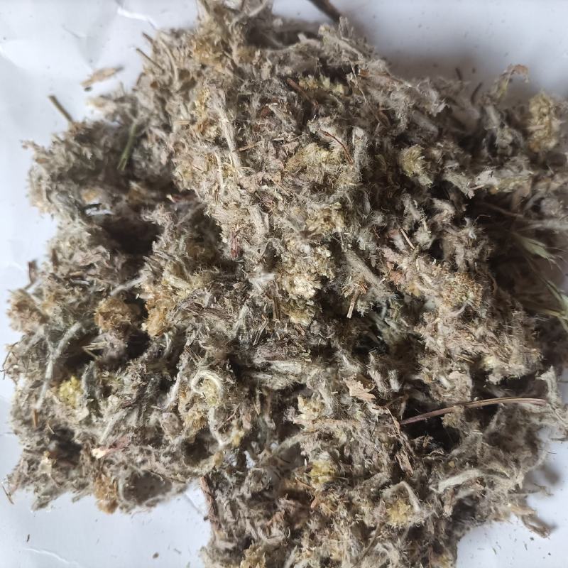 冷背药材佛耳草批发佛耳草新货佛耳草一公斤包邮